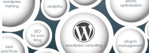 wordpress consulting wordpress consulting graphic