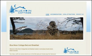 Blue Moon Cottage Bed and Breakfast